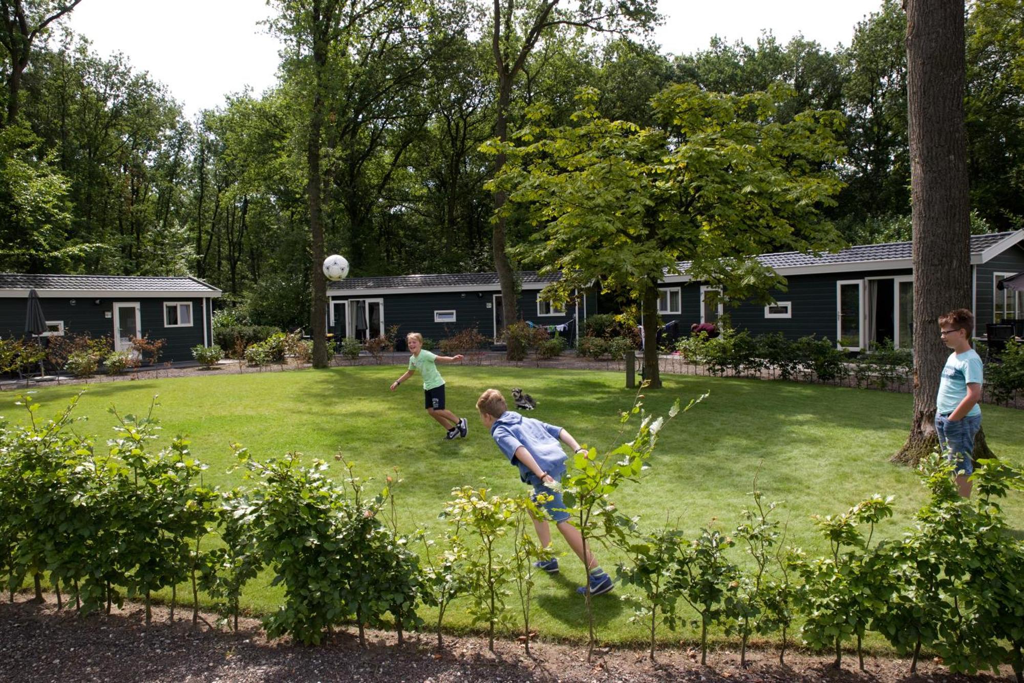 Vakantiepark Bonte Vlucht Доорн Екстериор снимка